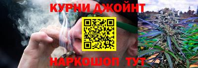 spice Прокопьевск