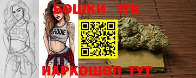 стаф Отрадный