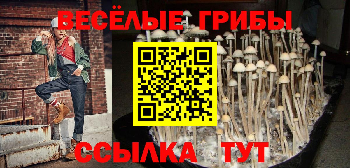 Галлюциногенные грибы прущие грибы Белово