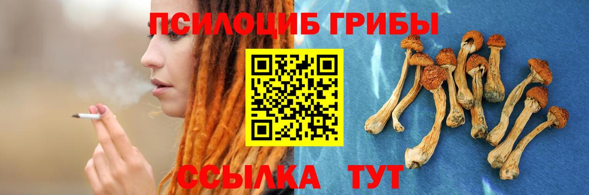 Галлюциногенные грибы Psilocybe  Галлюциногенные грибы прущие грибы  Белово  цены   Вход с VPN 